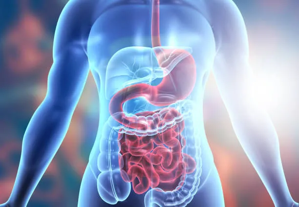 Digestive Care