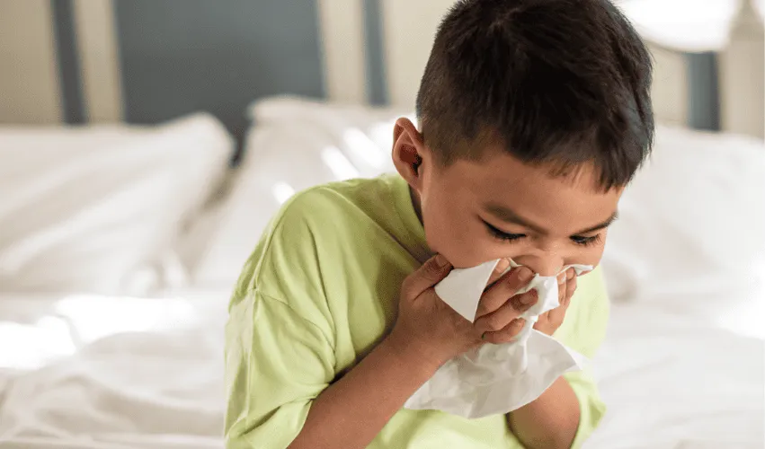 Cold & Cough
