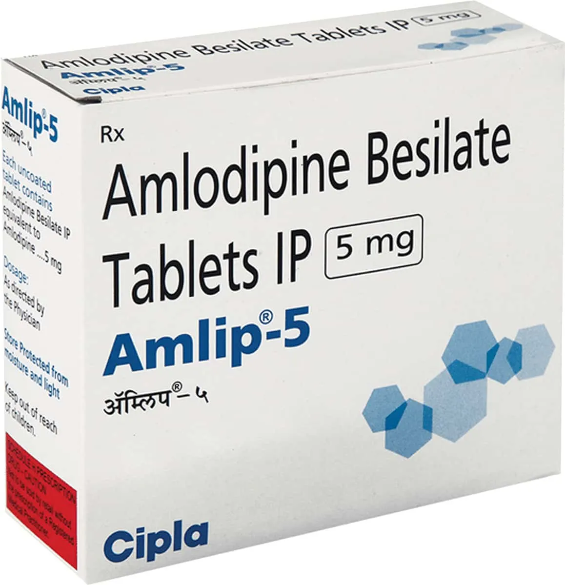 AMlip
