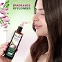 Kesh King Organic Onion Oil 100ml bottle for hair fall control