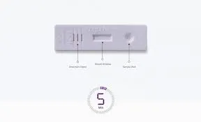 Prega News Pregnancy Test Kit